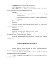 Grožio kultas visuomenėje 15 puslapis