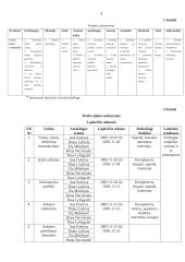 Grožio kultas visuomenėje 3 puslapis