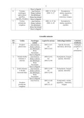 Grožio kultas visuomenėje 4 puslapis