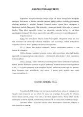 Grožio kultas visuomenėje 7 puslapis