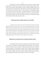 Grožio kultas visuomenėje 9 puslapis