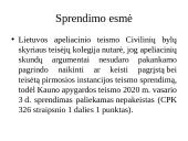 Apeliacinio teismo bylos nagrinėjimas 13 puslapis