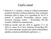 Apeliacinio teismo bylos nagrinėjimas 3 puslapis