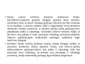 Apeliacinio teismo bylos nagrinėjimas 8 puslapis