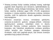 Apeliacinio teismo bylos nagrinėjimas 10 puslapis