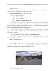 Geležinkelio kelio sankasos ir viršutinio kelio elementų analizė 10 puslapis