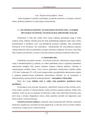 Geležinkelio kelio sankasos ir viršutinio kelio elementų analizė 11 puslapis