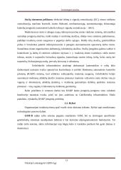 Geležinkelio kelio sankasos ir viršutinio kelio elementų analizė 12 puslapis