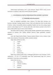 Geležinkelio kelio sankasos ir viršutinio kelio elementų analizė 15 puslapis