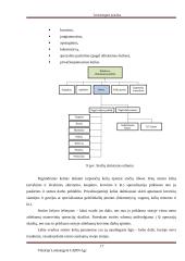 Geležinkelio kelio sankasos ir viršutinio kelio elementų analizė 16 puslapis