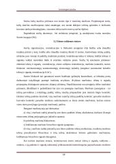 Geležinkelio kelio sankasos ir viršutinio kelio elementų analizė 17 puslapis