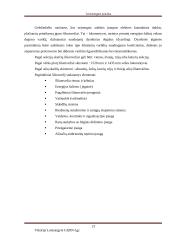 Geležinkelio kelio sankasos ir viršutinio kelio elementų analizė 20 puslapis