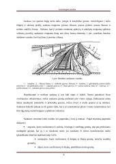Geležinkelio kelio sankasos ir viršutinio kelio elementų analizė 5 puslapis