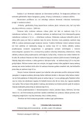 Geležinkelio kelio sankasos ir viršutinio kelio elementų analizė 6 puslapis