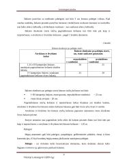 Geležinkelio kelio sankasos ir viršutinio kelio elementų analizė 8 puslapis