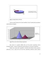 Ukrainos ir Baltarusijos turistinė infrastruktūra 14 puslapis