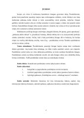 Pasitikėjimas savimi – sėkminga karjera 4 puslapis