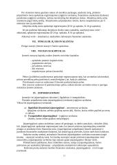 Uždaroji akcinė bendrovė „Kredauta“: apibūdinimas ir veiklos dokumentai 13 puslapis