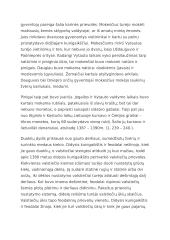 Mokesčiai Lietuvos Didžiojoje Kunigaikštystėje 2 puslapis