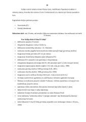 Lietuvos ir Italijos viešojo administravimo sistemų palyginimas 20 puslapis