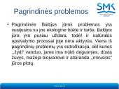 Teritorinė jūra: sąvoka, ribos, teisinis režimas 7 puslapis