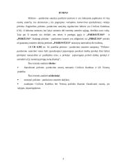 Pirkimo-pardavimo sutarties nagrinėjimas 3 puslapis
