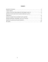 Sveikų pyragų kepyklos verslo planas 2 puslapis