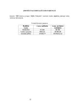 Sveikų pyragų kepyklos verslo planas 12 puslapis