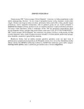 Sveikų pyragų kepyklos verslo planas 3 puslapis