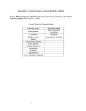 Sveikų pyragų kepyklos verslo planas 7 puslapis