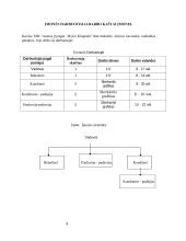 Sveikų pyragų kepyklos verslo planas 9 puslapis