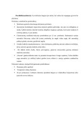 Slaugos analizė - gresiančio persileidimo metu 3 puslapis