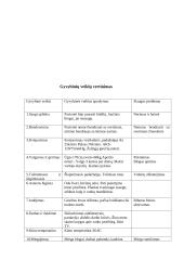 Slaugos analizė - gresiančio persileidimo metu 4 puslapis