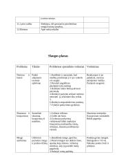 Slaugos analizė - gresiančio persileidimo metu 5 puslapis