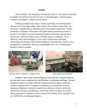 Laboratorinės diagnostikos praktika (salmonella) 3 puslapis