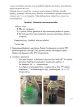 Laboratorinės diagnostikos praktika (salmonella) 7 puslapis