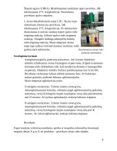 Laboratorinės diagnostikos praktika (salmonella) 9 puslapis