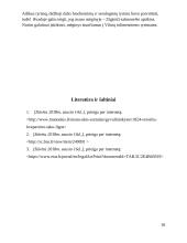 Laboratorinės diagnostikos praktika (salmonella) 10 puslapis