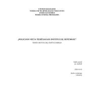 Policijos vieta Lietuvos teisėsaugos institucijų sistemoje