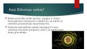 Bitkoinas - virtuali valiuta 3 puslapis