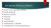 Bitkoinas - virtuali valiuta 7 puslapis