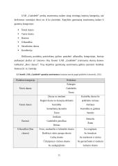 Įmonės „Gudobelė“ prekių grupės pardavimų valdymas 11 puslapis