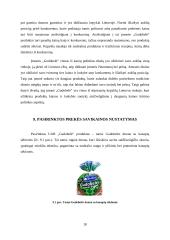 Įmonės „Gudobelė“ prekių grupės pardavimų valdymas 18 puslapis