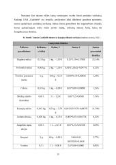 Įmonės „Gudobelė“ prekių grupės pardavimų valdymas 19 puslapis
