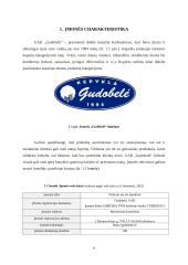 Įmonės „Gudobelė“ prekių grupės pardavimų valdymas 6 puslapis