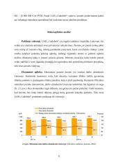 Įmonės „Gudobelė“ prekių grupės pardavimų valdymas 8 puslapis