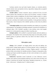 Įmonės „Gudobelė“ prekių grupės pardavimų valdymas 9 puslapis