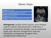 Garso bangos ir klausa  5 puslapis