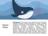 Garso bangos ir klausa  6 puslapis