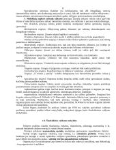 Administravimo principai 11 puslapis